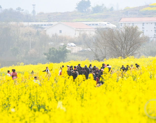 公司組織全體員工春游團(tuán)建活動